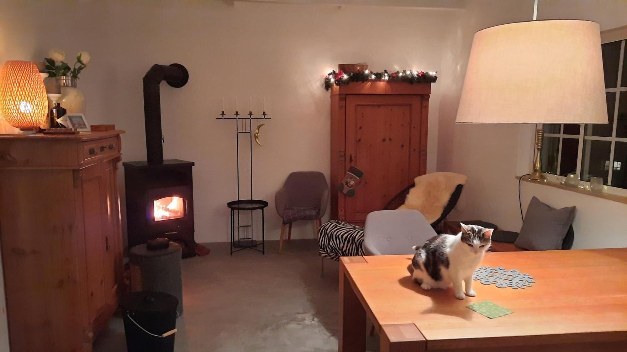 Casa Clerigo Espartal Bed & Breakfast Aljezur Eksteriør bilde